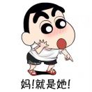 陈先生的头像