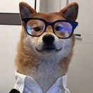 未响应的头像-cok论坛 - AGREE动漫游戏