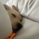 意味无弃的头像-梦马考研