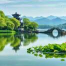 lshr的头像-义乌朱哈网络科技