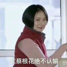 施凯