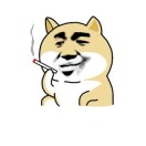 张先生的头像
