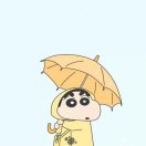 辛诺斯给的头像