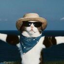 能吃你一口汉堡吗