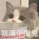 chanyow's Avatar