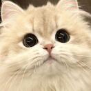 user_3w04pjipakv57qv2 member profile picture
