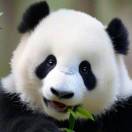 李国汉