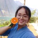 湖北秭归小崔家中华红血橙季