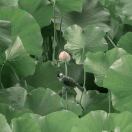 辩不如讷，巧不如拙