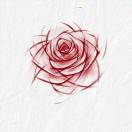 YunXian_LI member profile picture