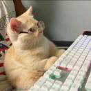 拾得的头像-传承国学正统持焰学堂