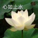 衣酒酒伞酒衣伞凌溜儿伞