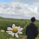 拍照只会剪刀手