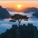 经典老歌《我的未来不是梦》🍂小阿