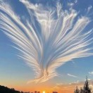 寻梦的头像-博士钣金 - www.bsbanjin.com