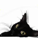 默默的头像-小果迷