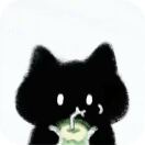 前端开发工程师