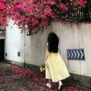 解落三秋叶