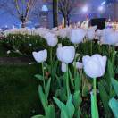 迷咕的头像 - 校园论坛