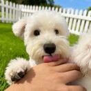 哈尔滨最后的变态头像