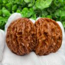 A文玩核桃客服的头像-WordPress主题模板-zibll子比主题