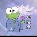付付大王