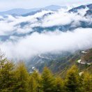 李Ýõñg臣 的头像-熵减岛