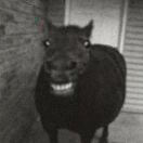 破折号的头像-风行者社区