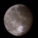 老高的头像-秀琴曲谱网