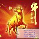 相逢是首歌????[指點江山]招商