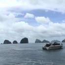 肥猫的头像-莓璃猫