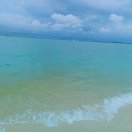 冬