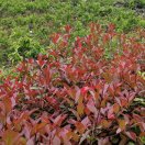 做自己想做的事