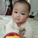 杨女士的头像