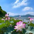 用户72424998的头像-小微之家 | 汪斌带你开公司 | 老汪洞察