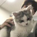 Aa.初的头像-工欲善其事，必先利其器宋辞云创