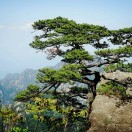 大山