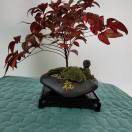 用户93446059的头像 