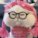 大不刘女士的头像-混音中国