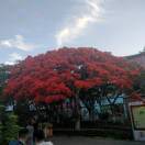 俩个点