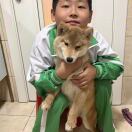 张Tammo的钢琴谱