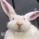 伦敦求租