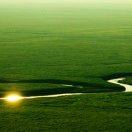 昆崙的头像-熵减岛