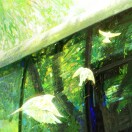 坐以待币