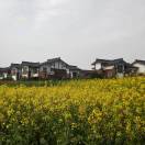 清秋明月18108143192