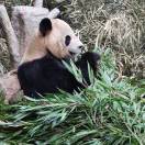 晴天打伞