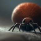 杜爽的头像-cg男孩