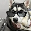 老男孩 的头像