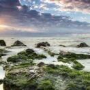 u客直谈实名认证张悦