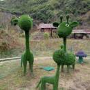 江色月影写真